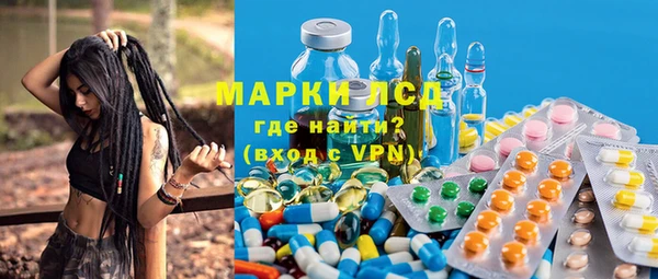 гидра Бородино