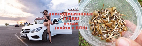 гидра Бородино
