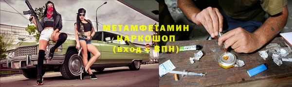 гидра Бородино