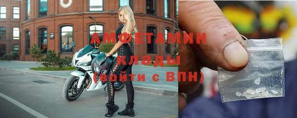 гидра Бородино