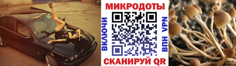 Галлюциногенные грибы Magic Shrooms  Верхняя Тура 